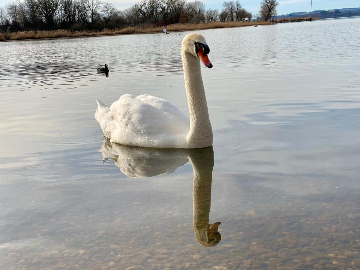 Ferienwohnung Am Chiemsee Ubersee Luaran gambar